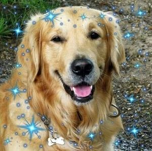 Meet your Posher, Luisa